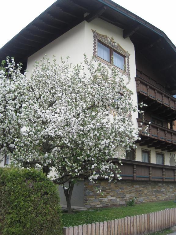 Braunegger Gasthof 3*